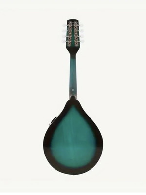 Mandolin new with protective case and extra gift