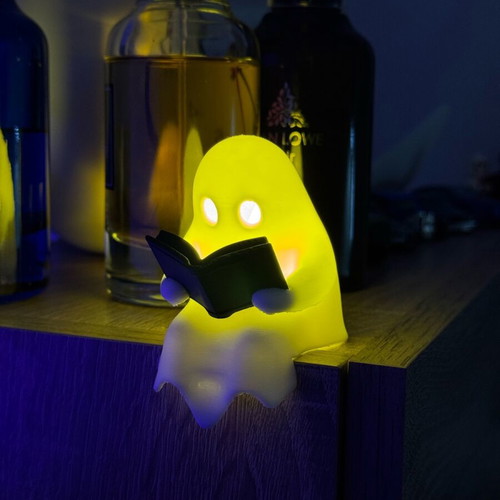 Ghost Reader led light with tealight new