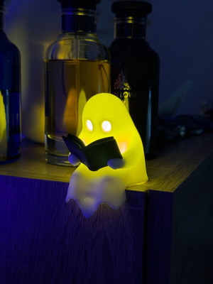 Ghost Reader led light with tealight new