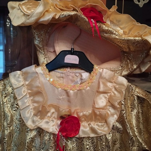 Carnival costume Pentaromfi like new with hat