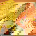  Τηλέραμα (Σαμπρίνα)