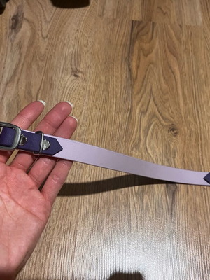 Dog leash purple, like new, two-tone design