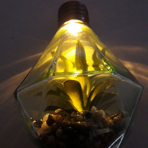 Decorative lighting like new with glass, pebbles and artificial plant