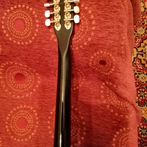 Four-string bouzouki new, unused