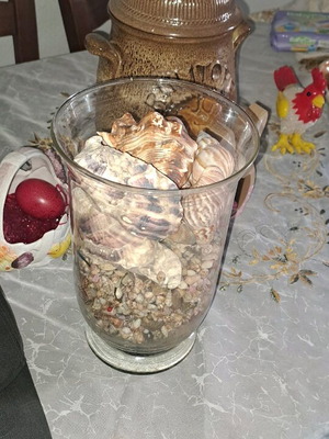 Βάζο με κοχυλάκια και αληθινά κοχύλια σε άριστη κατάσταση