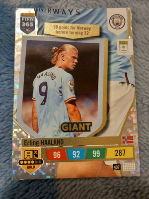 Κάρτα Erling Haaland σαν καινούργιο