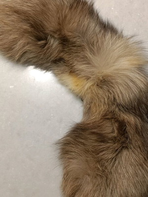 Genuine fur collar like new, vintage, gray shades