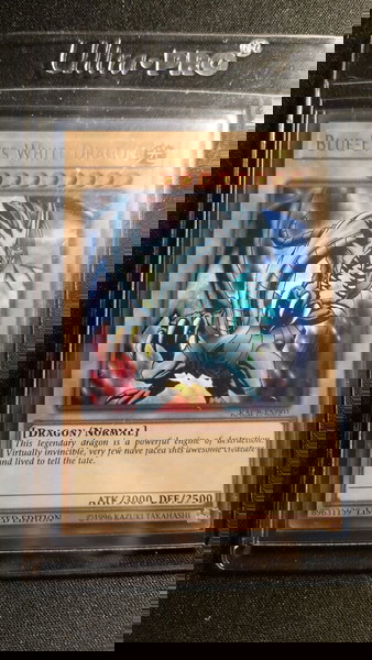 Синьооко бяло дракон