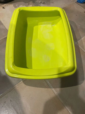 Cat litter box new