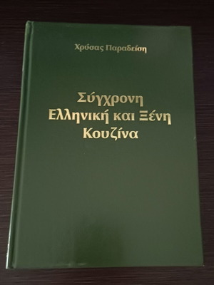 Modern Greek and Foreign Cuisine by Chrysa Paradeisi like new