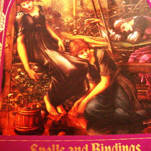 The Enchanted World Spells and Bindings new