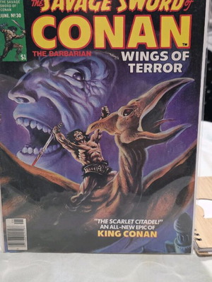 The Savage Sword of Conan Magazine #30 Wings Of Terror used