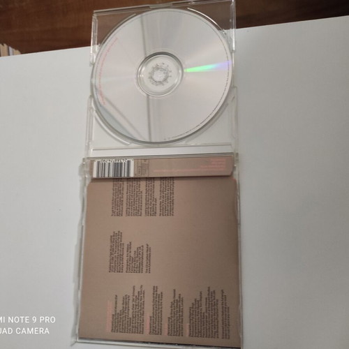 Pet Shop Boys CD Single I Don't Know What You Want But I Can't Give It Anymore like new, pop