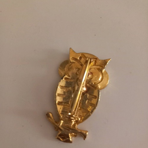 Owl pin like new