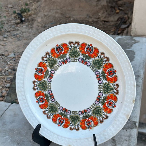 Pontesa Ironstone Collectible Plate used with Retro Floral Design