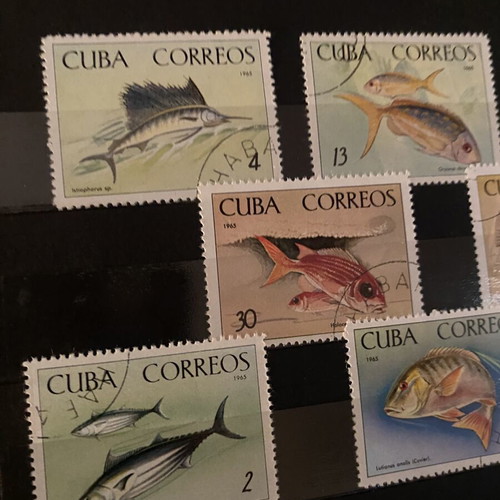 Fish of the National Aquarium stamp collection used, Cuba 1965, set of 8