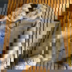  Δερμάτινο γυναικείο σακάκι Zeda Collection