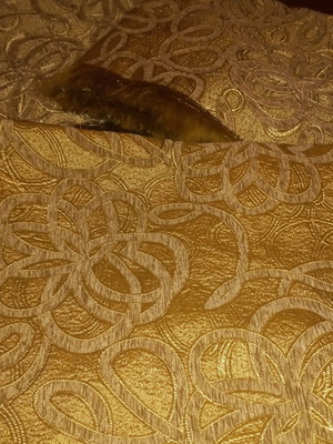 Set of covers new with dimensions 2.95×1.80, 2.25×1.80, 1.80×1.75