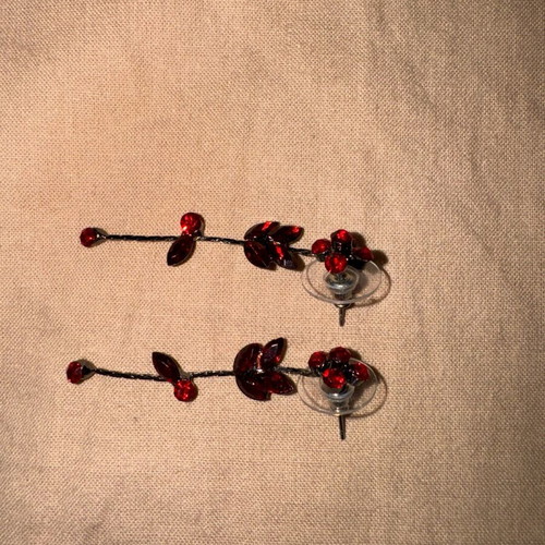 Dangling earrings with red stones new