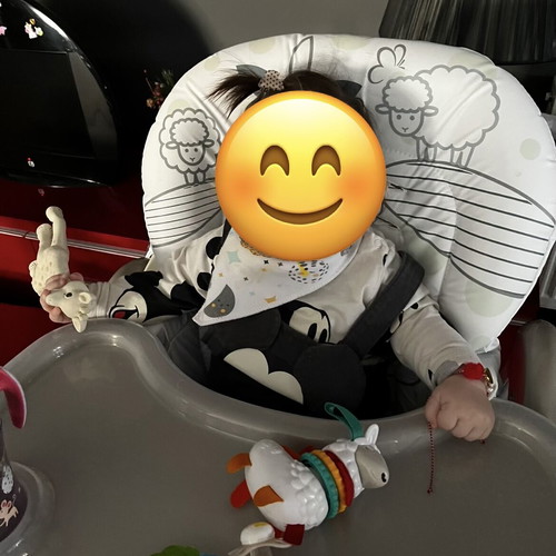Jumbo baby high chair