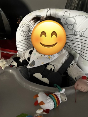 Jumbo baby high chair