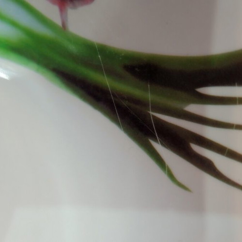 Plastic salad bowls, set of 5