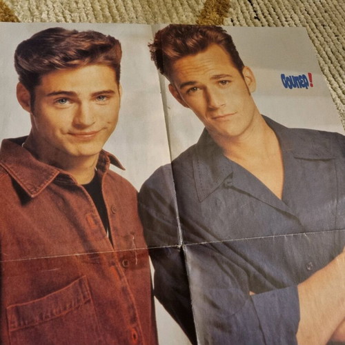 Jason Priestley and Luke Perry poster used, large size
