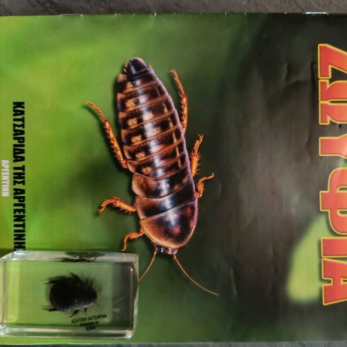 Real insects used, issue 31