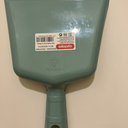 Dustpan with brush