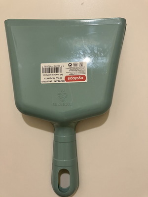 Dustpan with brush