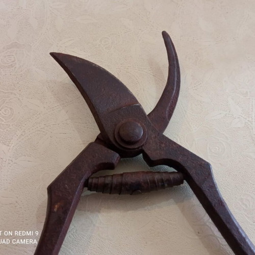 Pruning Shears used, 21 cm old tool
