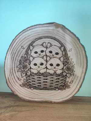 Laser Engraved Wooden Plaque 35cm Beech Wood New