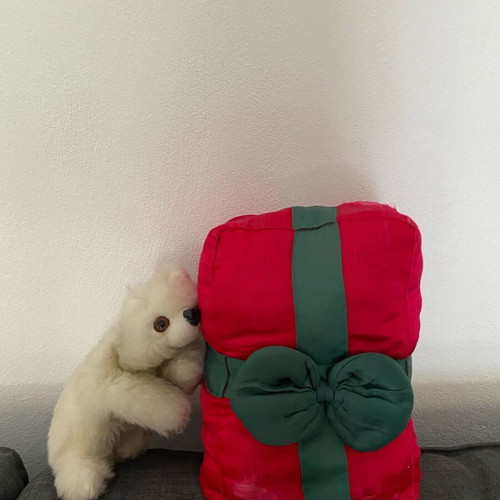 German vintage teddy bears used, pack of 2 pieces