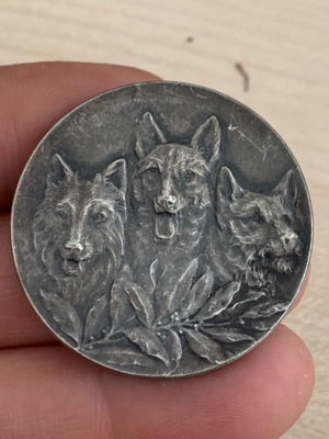 French medal 1913 used