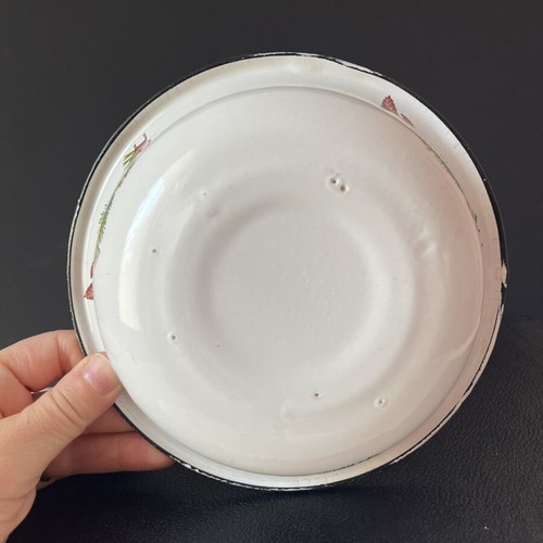Vintage enamel bowl USSR with bullfinch design, 18cm, like new