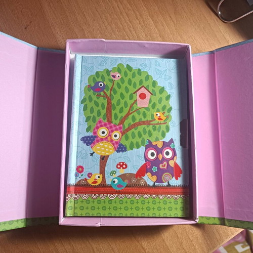 Children's diary like new with owl design