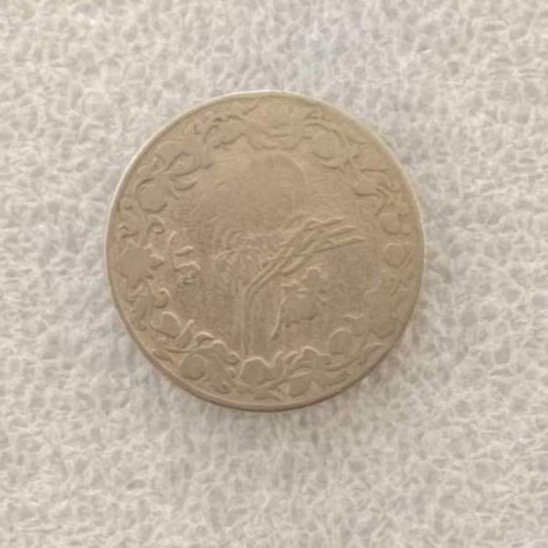 Egypt 1 Qirsh coin (FA-31)