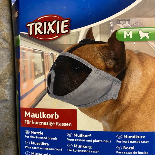 Muzzle medium new