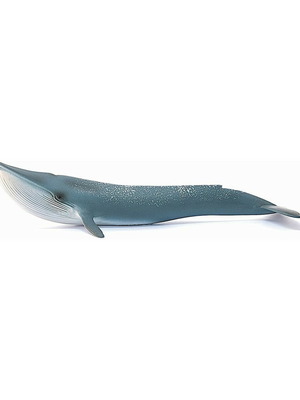 Schleich Wild Life Blue Whale 14806 new in packaging