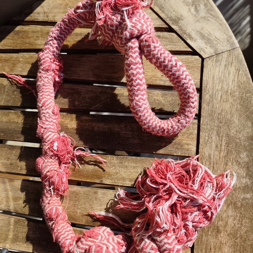 Dog toys used, assorted set