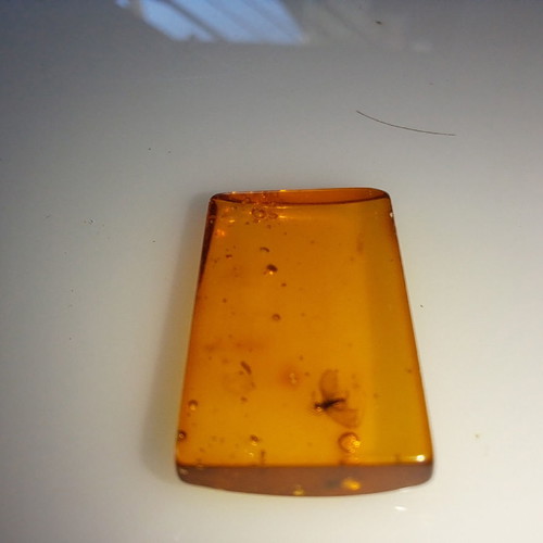 Processed square Baltic amber piece with insects, new