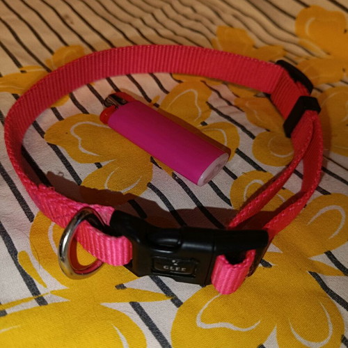 Glee pink collar leash like new for small to medium dogs