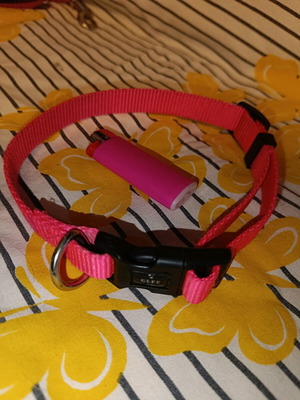 Glee pink collar leash like new for small to medium dogs