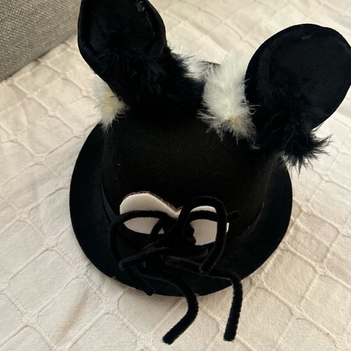 Cat costume like new for 4-year-old child