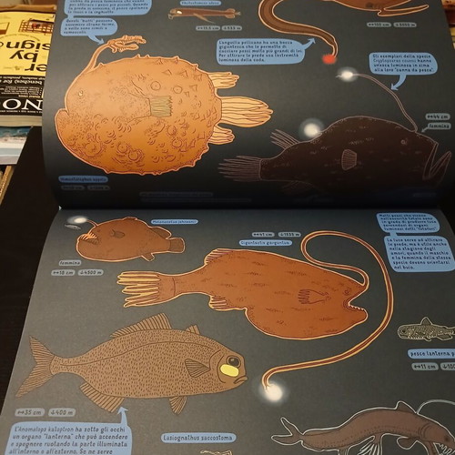 Sottoterra Sottaqua children's book in Italian 2015