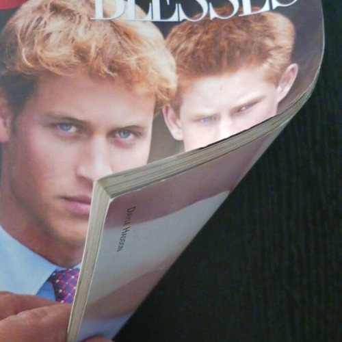 Point de Vue Royal Magazine William & Harry February 2003