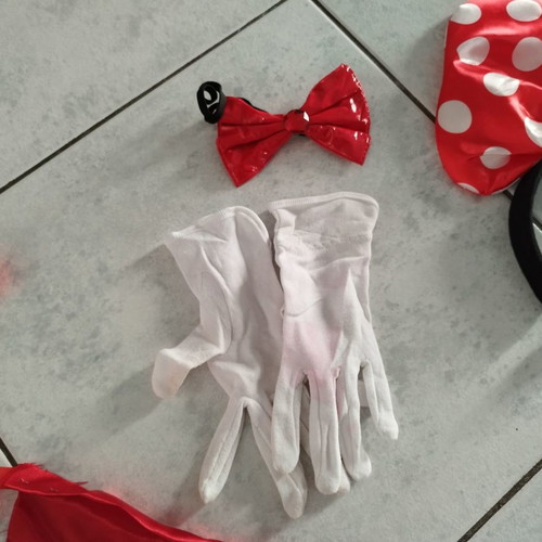 Carnival costume Diavolina used