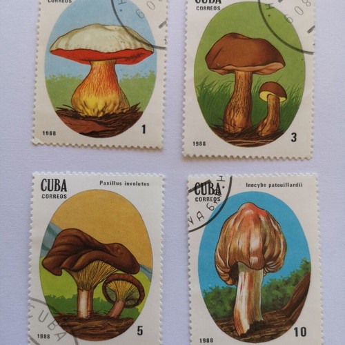Cuba 1988 mushroom stamps used