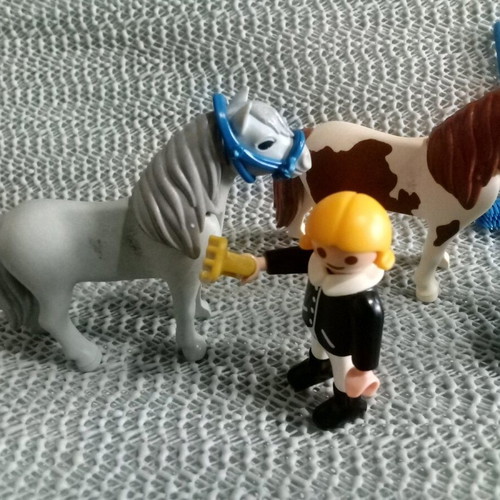 Playmobil set children and horses used