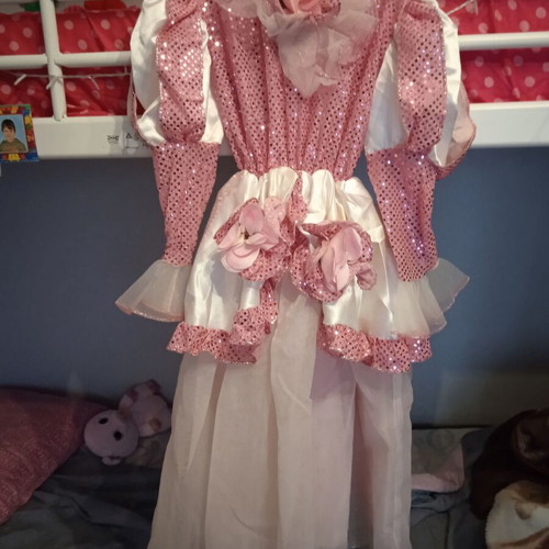 Princess carnival costume used, for ages 8-12